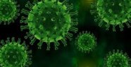 Aşıyı bulan Türk profesör, koronavirüsün bitişi için tarih verdi