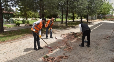 Siverek Belediyesi Viranşehir'de hasar giderme çalışmalarına destek verdi