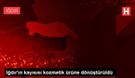 Iğdır'ın kayısısı kozmetik ürüne dönüştürüldü