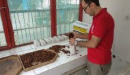 Kuru Üzümde Verim Düşük Olsa da Fiyatlar Çiftçinin Yüzünü Güldürüyor