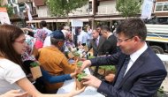Merkezefendi Belediyesi Binlerce Fesleğen ve Mesir Macunu Dağıtacak