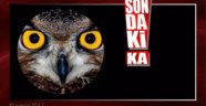ANKARA KUŞU GÖZALTINA ALINDI !
