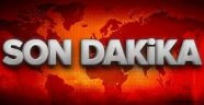 TEMEL KARAMOLLAOĞLU NEREDE ?