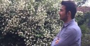 Tevfik Furkan yazdı : DİBACE