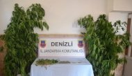 Uyuşturucu Ticareti Yapan 24 Kişi Yakalandı